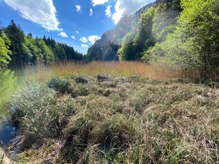 Berglsteiner See in den Brandenberger Alpen nahe dem Reintaten See Kramsach Inntal Tirol Österreich