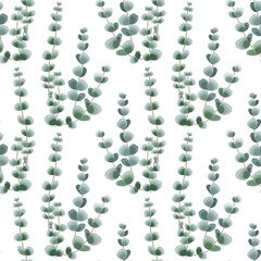 Eucalyptus branches seamless pattern