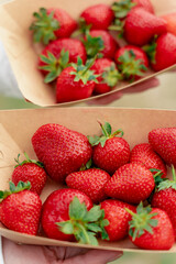 Strawberry close-up in disposable eco plate in woman hands on green background. Summer seasonal berry.