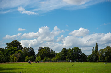 Typical English sunny afternoon in public park with white clouds in blue sky and jumbo jet flying over.