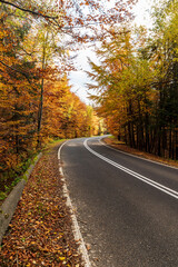 Fototapeta premium Road in colorful autumn forest bellow Przelecz Salmopolska in Beskid Slaski mountains in Poland