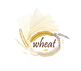 Abstract background with ears of wheat. Vector illustration