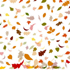 Abstraction of autumn leaves. Background from autumn leaves. Vector illustration