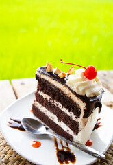 Delicious piece slice chocolate cake on the white plate