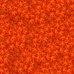 秋の背景イメージ　画面いっぱいの紅葉　（1）