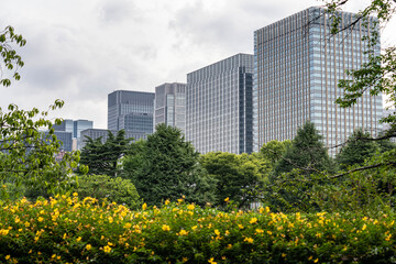 日比谷・皇居周辺散策