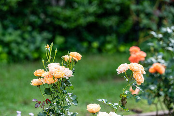 日比谷・皇居周辺散策