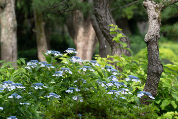 日比谷・皇居周辺散策
