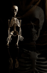 Fototapeta na wymiar squelette humain et son fantôme en arrière plan