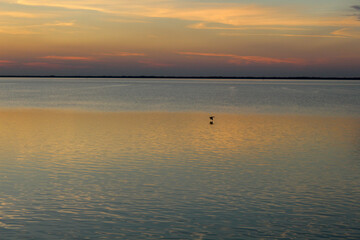 Wadden Sea: the sunset over the island of Langeoog - a play of colors
