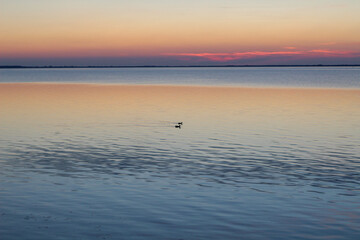 Obraz premium Wadden Sea: the sunset over the island of Langeoog - a play of colors