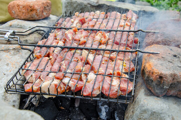 pork meat on the grill barbecue on the coals in nature selective focus