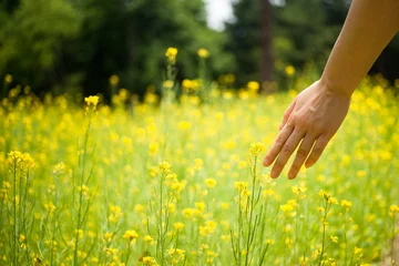 Zelfklevend Fotobehang Neem het lentelandschap in je hand © kangnam