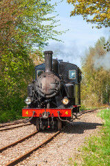 Fototapeta na wymiar Old steam locomotive driving on the railway in a lush green forest