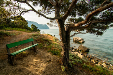 Obraz premium Bench with a Black sea view 