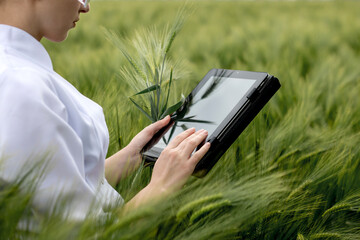 Young female ecologist scientist in goggles standing in green field and working on glass...