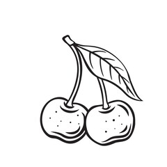 Cherry fruit berry outline vector icon, drawing monochrome illustration. Healthy nutrition, organic food, vegetarian product