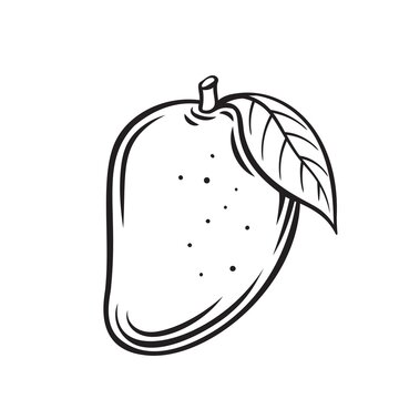 recommend clip art: Mango fruit outline vector icon, drawing monochrome illustration. Healthy nutrition, organic food, vegetarian product.