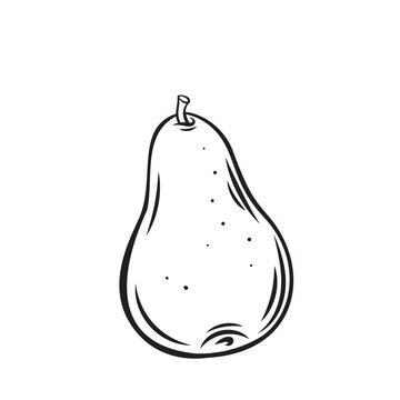 recommend clip art: Pear fruit outline vector icon, drawing monochrome illustration. Healthy nutrition, organic food, vegetarian product.