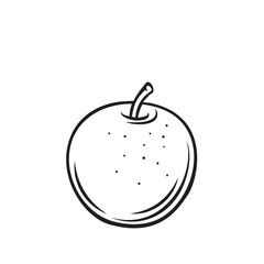 Apple fruit outline vector icon, drawing monochrome illustration. Healthy nutrition, organic food, vegetarian product.