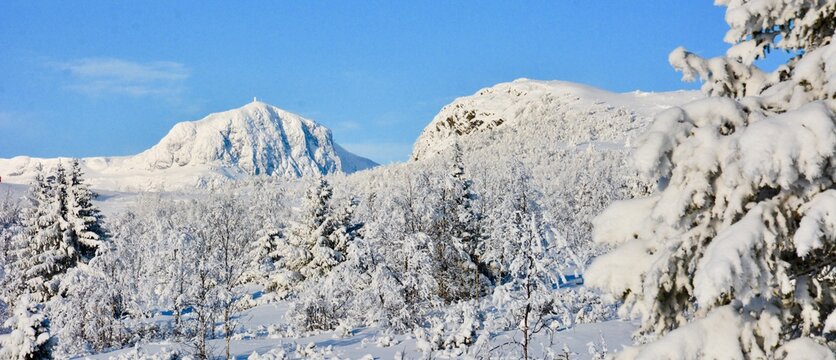 Bitihorn vinter