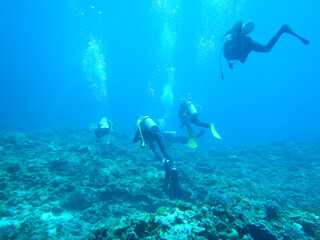 沖縄の海でダイビング