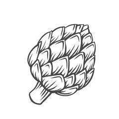 Artichoke flower heads vegetable outline vector icon, drawing monochrome illustration. Healthy nutrition, organic food, vegetarian product.