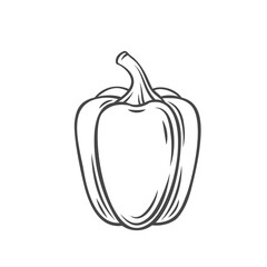 Pepper vegetable outline vector icon, drawing monochrome illustration. Healthy nutrition, organic food, vegetarian product.