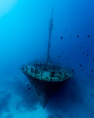 Wreck in Maldives