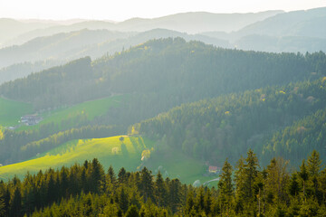 Germany, Panorama view above schwarzwald nature landscape of forest silhouettes of endless tree covered mountains at sunset in warm sunlight © Simon Dux Media
