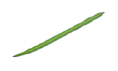 Fototapeta premium Fresh moringa pod isolated on white background, Moringa oleifera Lam, Horse radish tree , Herbs for health