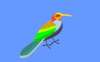 Colored vivid bird vector illustration
