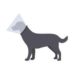 Dog with a cone, protective collar, vector