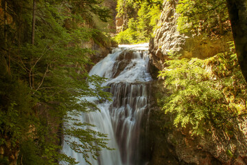 Fototapeta premium Cascada de la cueva en el río Arazas, valle de Ordesa, Pirineos españoles, Huesca, España. Un hermoso paisaje natural del bosque de pinos de montaña a principios de verano.