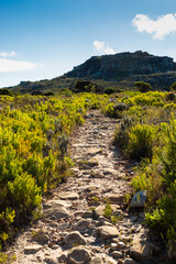 Fototapeta na wymiar Dirt Track hiking paths on top of a mountain by the coast