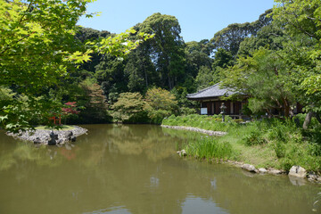 浄瑠璃寺　庭園と本堂　京都府木津川市