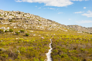 Fototapeta na wymiar Dirt Track hiking paths on top of a mountain by the coast