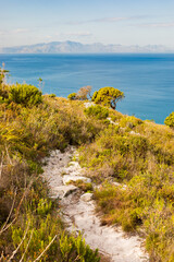 Dirt Track hiking paths on top of a mountain by the coast