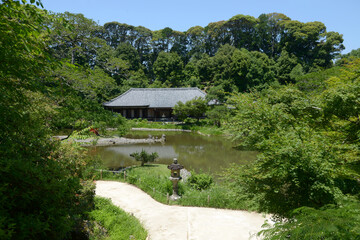 浄瑠璃寺　三重塔から望む本堂　京都府木津川市