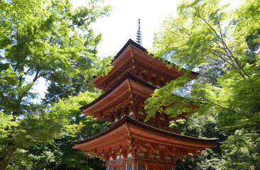 浄瑠璃寺　三重塔　京都府木津川市