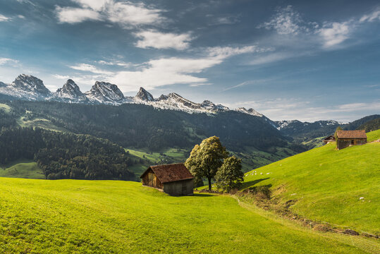 Blick auf die Churfirsten, alpine Landschaft mit Weideland und Almh&uuml;tten, Kanton St. Gallen, Schweiz