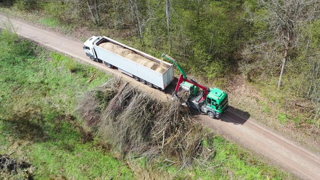 Aerial shot of wood chipper blowing shredded wood into back of a truck. Forest background