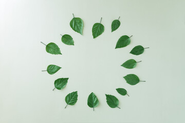 Green leaves arrange in circle on green background,top view, space for text. Summer fresh...