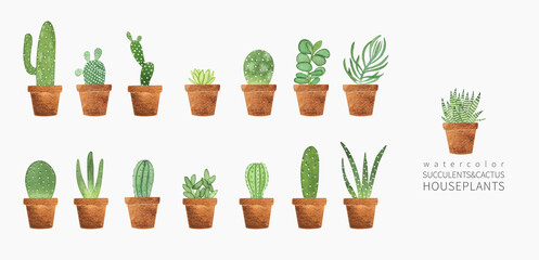 Watercolor succulent and cactus houseplants set. Hand drawn summer illustration with potted plants isolated on white. Perfect for greeting card, invitation, logo, stickers and other.