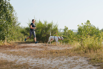 woman running pulled by a dog. American bulldog running in the park with a girl