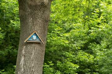 bory © Krzysztof  Jaworski