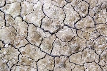 Dry and cracked soil