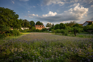 Fototapete bei efototapeten.de bestellen   