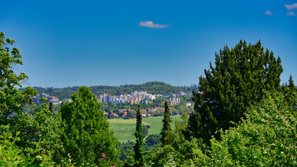 Blick vom Pforzheimer Hauptfriedhof aus, durch Bäume hindurch,  auf das Wohngebiet Haidach