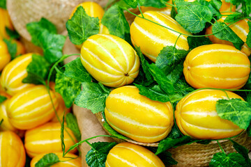 melon and melon leaves